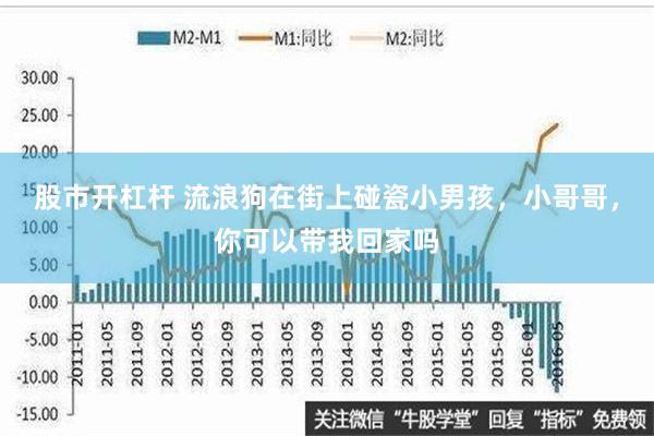 股市开杠杆 流浪狗在街上碰瓷小男孩，小哥哥，你可以带我回家吗