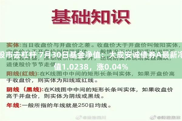 股市去杠杆 7月30日基金净值：大成安诚债券A最新净值1.0238，涨0.04%