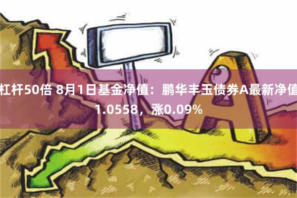 杠杆50倍 8月1日基金净值：鹏华丰玉债券A最新净值1.0558，涨0.09%