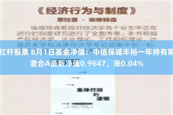 杠杆股票 8月1日基金净值：中信保诚丰裕一年持有期混合A最新净值0.9647，涨0.04%