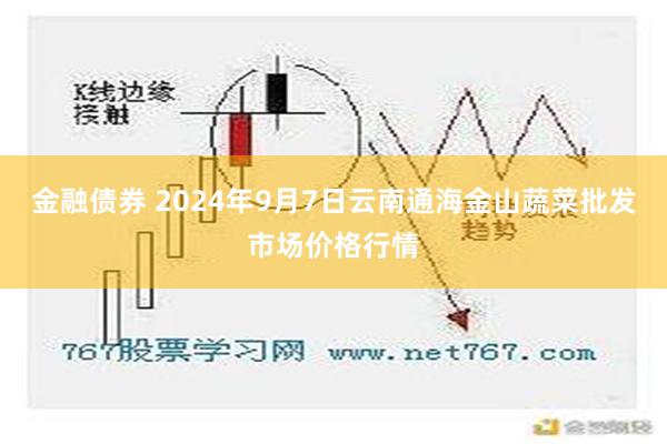 金融债券 2024年9月7日云南通海金山蔬菜批发市场价格行情