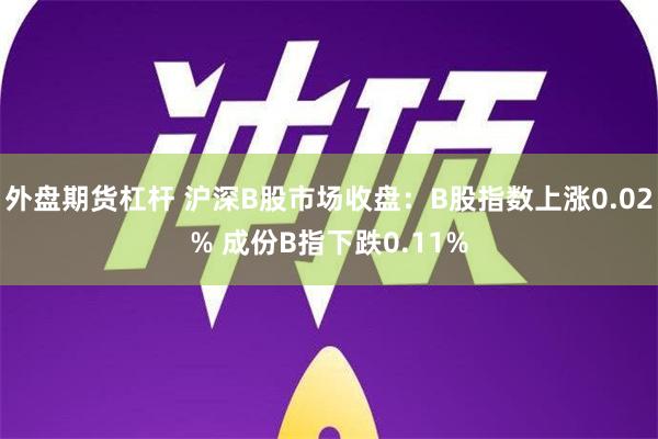 外盘期货杠杆 沪深B股市场收盘：B股指数上涨0.02% 成份B指下跌0.11%