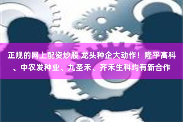 正规的网上配资炒股 龙头种企大动作！隆平高科、中农发种业、九圣禾、齐禾生科均有新合作