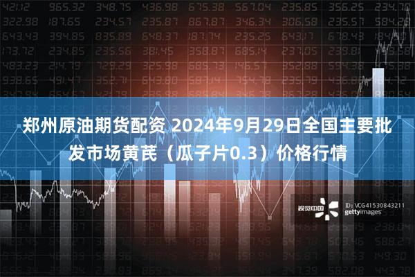 郑州原油期货配资 2024年9月29日全国主要批发市场黄芪（瓜子片0.3）价格行情