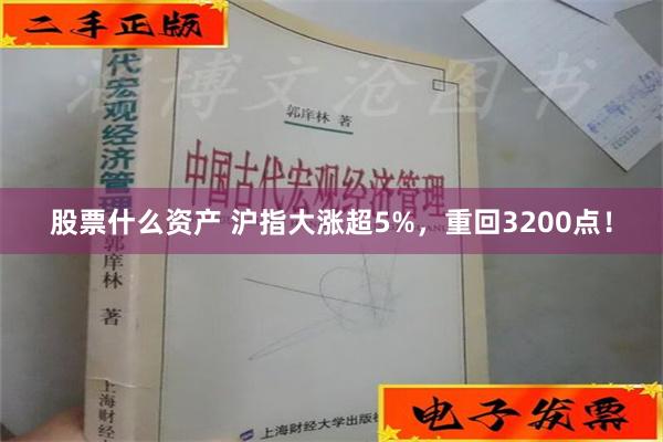 股票什么资产 沪指大涨超5%，重回3200点！