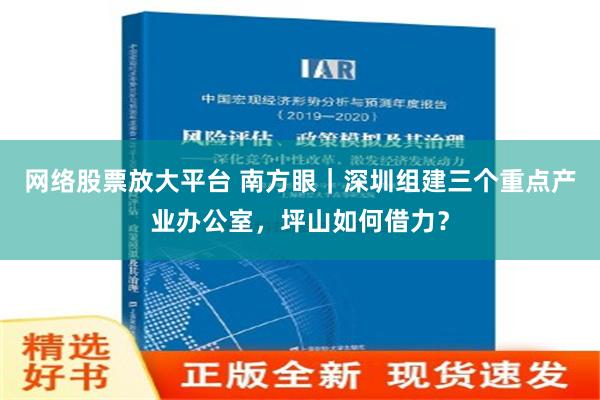 网络股票放大平台 南方眼｜深圳组建三个重点产业办公室，坪山如何借力？